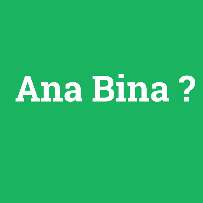 Ana Bina, Ana Bina nedir ,Ana Bina ne demek