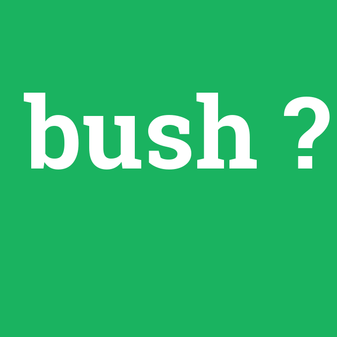 bush, bush nedir ,bush ne demek