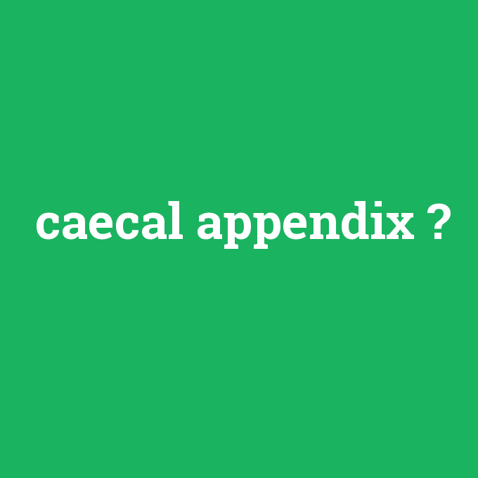 caecal appendix, caecal appendix nedir ,caecal appendix ne demek