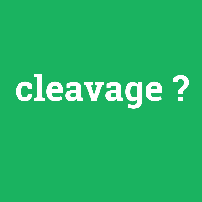 cleavage, cleavage nedir ,cleavage ne demek