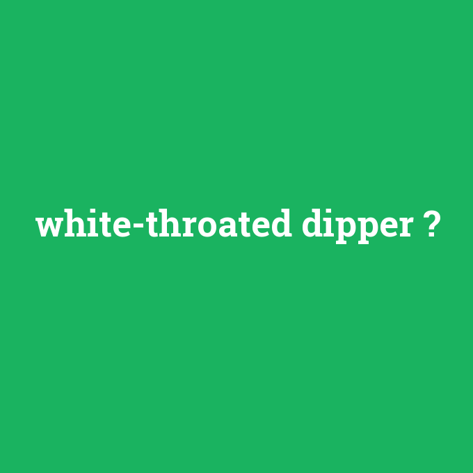 white-throated dipper, white-throated dipper nedir ,white-throated dipper ne demek