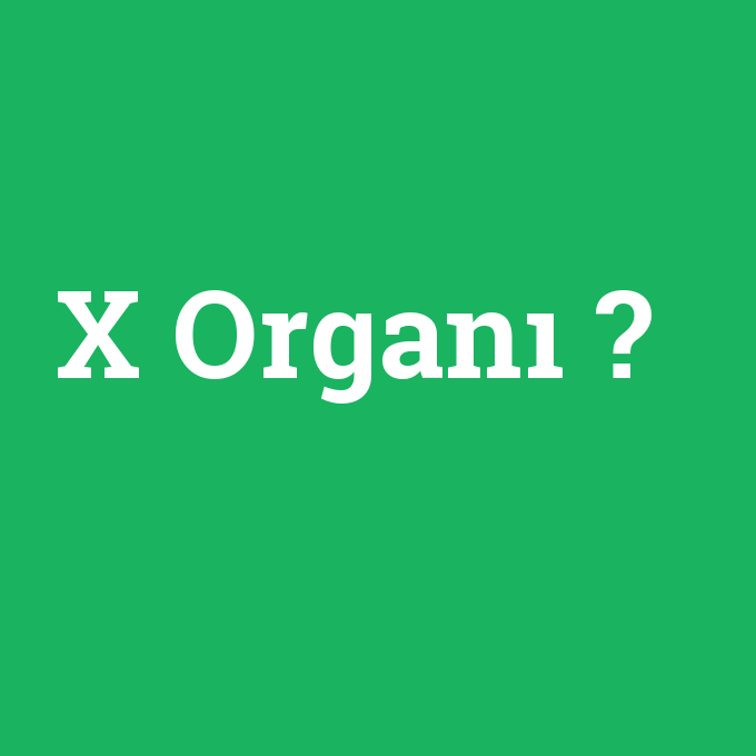 X Organı, X Organı nedir ,X Organı ne demek