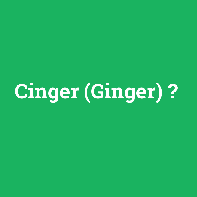 Cinger (Ginger), Cinger (Ginger) nedir ,Cinger (Ginger) ne demek