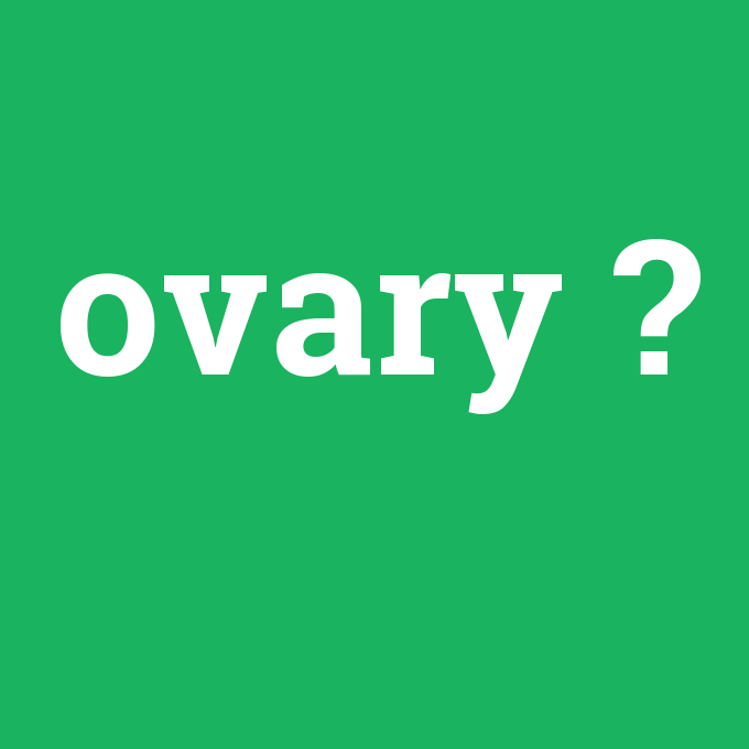 ovary, ovary nedir ,ovary ne demek
