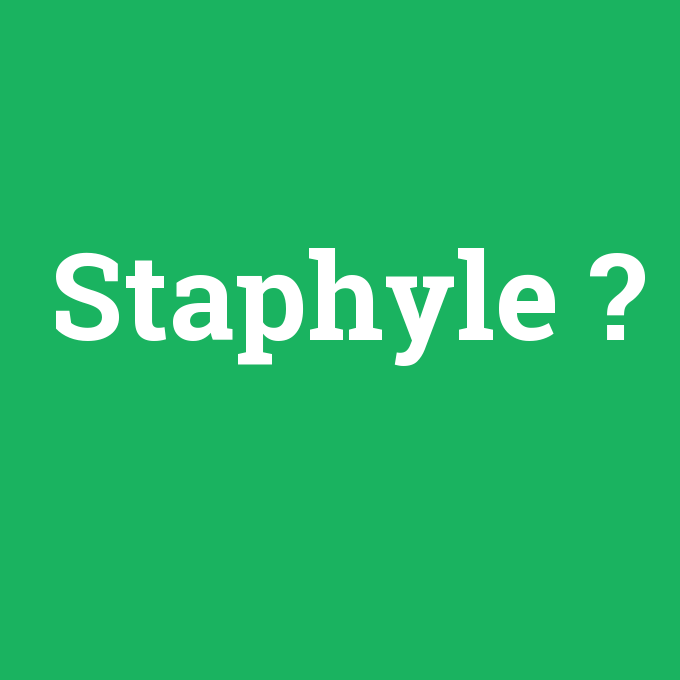Staphyle, Staphyle nedir ,Staphyle ne demek