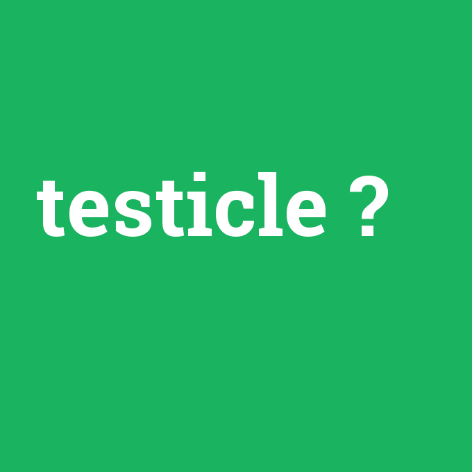 testicle, testicle nedir ,testicle ne demek